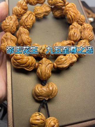 帝王花生🥜#秦岭龙纹桃核 #盘它就完了 #盘它#文玩爱好者 #文玩发烧友