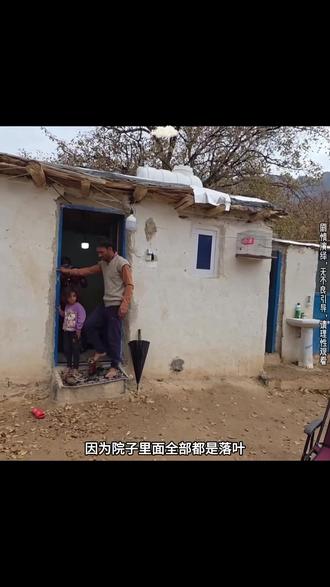 昨晚的大雨,让桂花想要争夺房子更加强烈,不能让自己受委屈 #伊朗游牧民生活