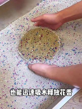 夸孩子也是一门学问要用对方式,不然只能适得其反。#亲子教育 #育儿 #家庭教育 #父母课堂 #干货分享