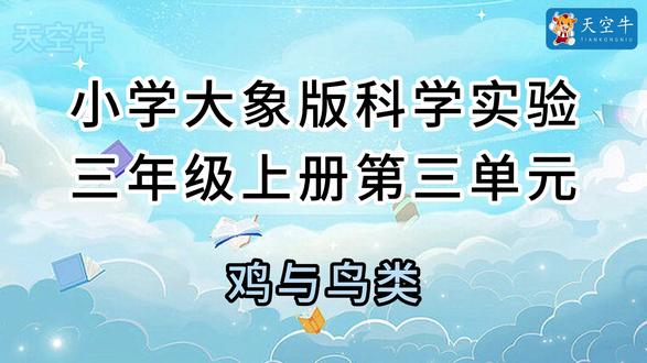 三上3.2小学(大象版)科学实验 三年级上册 大象版第三单元3.2鸡与鸟类#科学实验 #科普 #学霸秘籍 #普及知识 #科普一下