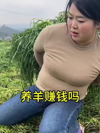 #黑麦草#多年生牧草#养殖