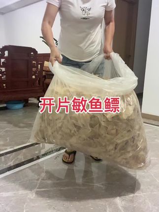 #鱼胶#源头实力厂家 #滋补品 今天刚刚晒出来的天然敏鱼鳔,光泽度半透明,开片去除内膜没有异味,个大精品鱼胶,干度非常好,是您滋补身体送礼佳品。