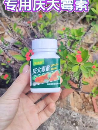 #庆大霉素