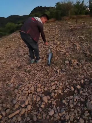 渣老板跑路了,狂飚随便卖,即日起铅笔送铁板 狂飚铅笔:你敢咬我吗,渣鱼一条