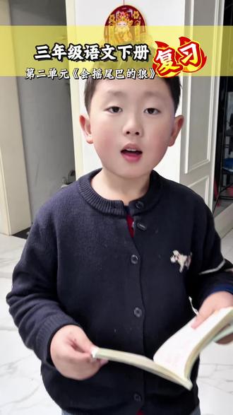 #三年级语文下册 学霸私藏!《会摇尾巴的狼》课文梳理+高频考点,预习复习都能用#预习课本 #复习课文 #必考考点