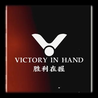 新手课堂剪辑作业#胜利羽毛球拍 #威克多 #黄金5号