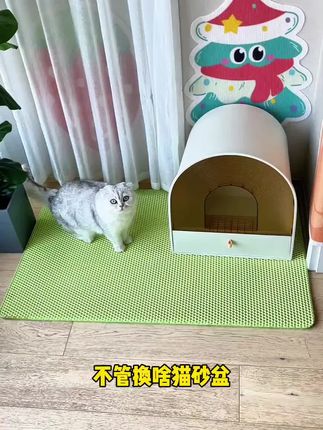 教孩子学会“吵架”,不惹事也不能怕事,在善良中带有一些锋芒,避免社交伤害#亲子教育#正确的引导孩子陪伴孩子 #家长必读