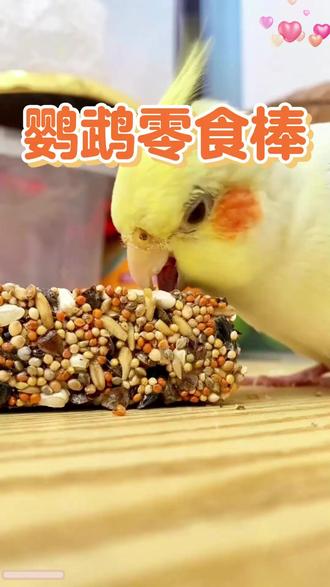 【奇妙妙】虎皮牡丹鹦鹉零食啃咬训练奖励饲料磨牙棒鸟食用玩具#鹦鹉零食 #虎皮牡丹鹦鹉 #宠物玩具 #鸟类饲料 #鹦鹉训练