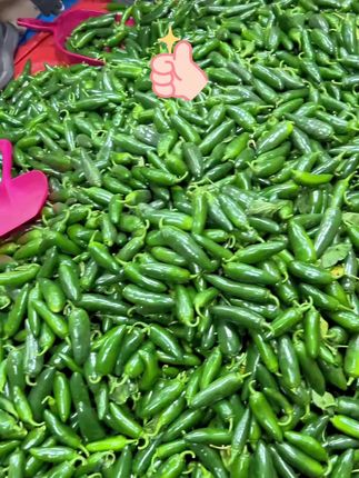 #港椒 #肉质鲜嫩 #美食 #脆嫩爽口 #好吃到停不下来