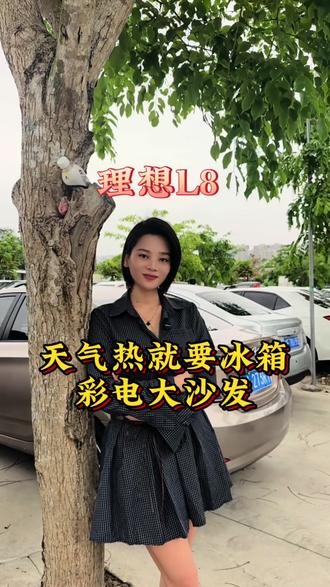 冰箱彩电大沙发,这台它是理想L8#新能源领航计划 #理想型 #二手车