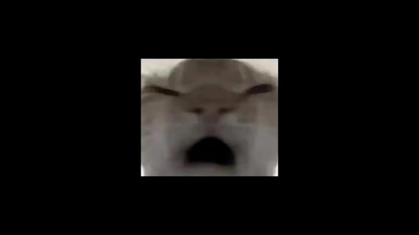 #游戏本地人口音大赏 #三角洲行动 #情人节
#情感共鸣
三角洲行动找搭子dd