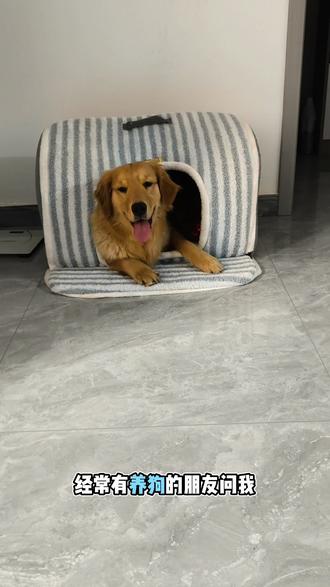 我看谁家狗狗在寒冷的冬天没有一个防风保暖的小窝#狗窝 #可拆洗 #宠物窝窝 #萌宠好物 #徕本宠物 @DOU+小助手