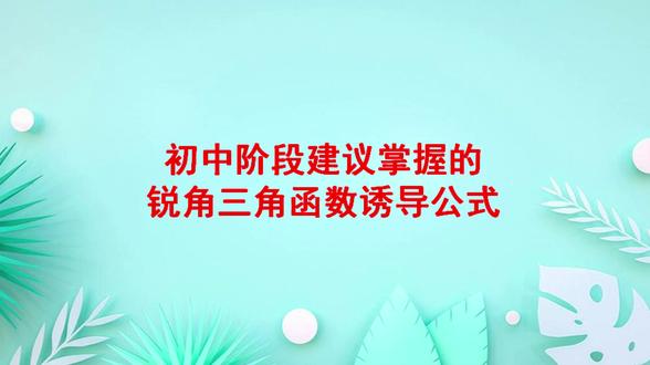 初中阶段建议掌握的锐角三角函数诱导公式
