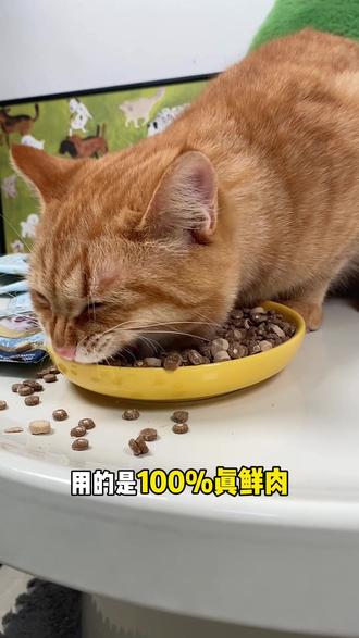 妥妥大羊毛啊!个位数薅5包喜喵喵白金烘焙粮试吃!养猫人赶紧冲!!!#养猫人 #猫粮推荐 #喜喵 #喜喵猫粮 #喂猫日记