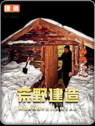 男人在极寒的丛林中利用上百根原木搭建出豪华庇护所!#野外生存 #荒野建造 #解压