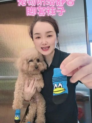 宠物防滑静音脚套袜子#宠物脚套 #宠物袜子