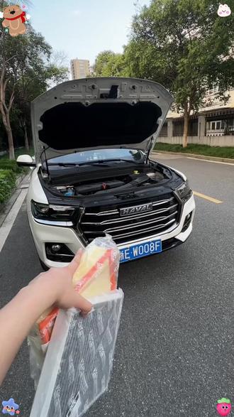 哈弗空调滤芯 手把手教你换滤芯,省心又省! #爱车养护 #汽车滤芯 #DIY换滤芯 #养车技巧 #哈弗大狗