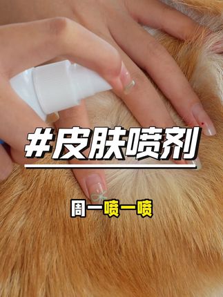 如果家里狗狗总是啃脚咬脚,频繁抓痒痒,养狗人要注意了#科学养宠攻略 #萌宠好物 #狗狗啃脚 #狗狗抓痒