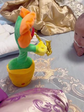 真怕他的小嘴下一秒和仙人掌对话😆#宝宝vlog日常记录 #人类幼崽长成记
