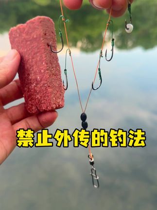 禁止外传的钓法?老一辈钓友压箱底的绝活,今天我必须给它正名!#钓鱼技巧 #浏阳钩钓法 #水库钓鱼技巧