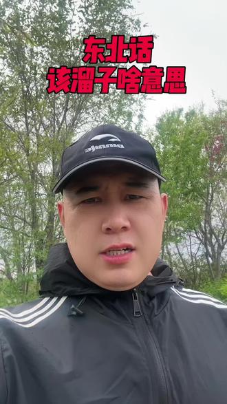 东北话你是几级?东北有个词叫该溜子,知道是啥意思吗?#东北话 #东北方言 #东北人自带幽默感 #涨知识