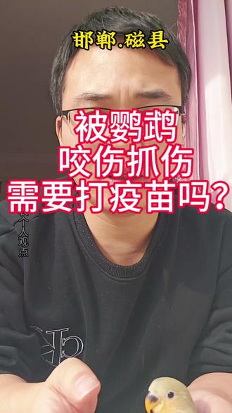 家里有鹦鹉的的,被抓伤咬伤,需要担心吗?
#就想说点大实话 #养鸟人的快乐 #磁县养鸟人 @磁县养鸟人日常