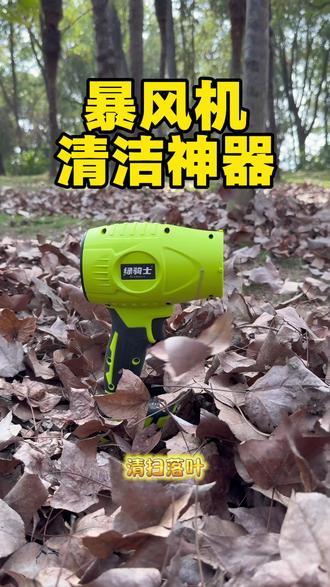 大功率暴风机,吹积雪、吹落叶、吹垃圾,家庭清洁、工业除尘。#暴风机#五金工具#电动工具#工业吹风机#除尘器