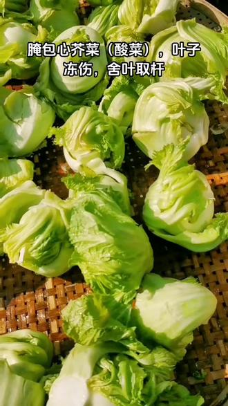 腌包心芥菜(酸菜)