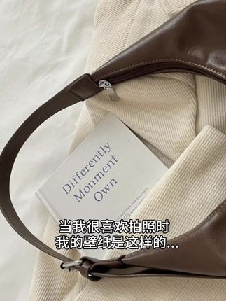 #轻奢包包 #好看又便宜 #女神必备 韩里韩气的托特包!休闲百搭的大容量包包! 挖到了一个小众高级感大容量托特包!