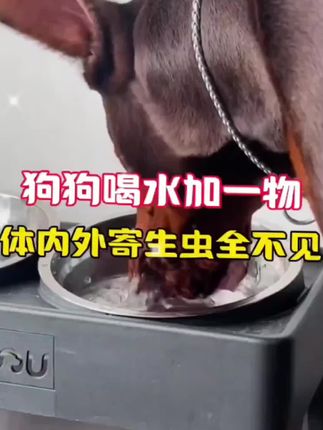 用看动画的方式让孩子理解《木兰诗》唧唧复唧唧,木兰当户织。 诗词经典唯美古诗词 #语文 #文言文 #启蒙早教 #磨耳朵
