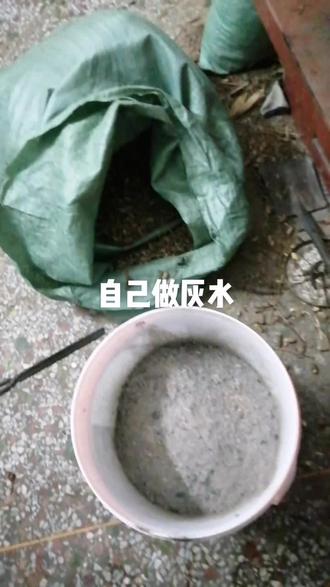 用芝麻梗和黄豆壳烧灰做的灰水,包灰水粽