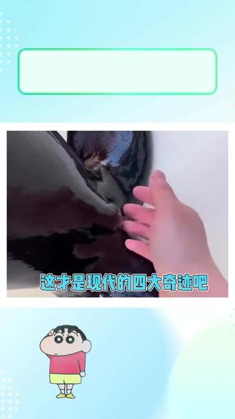 下辈子还要和你们做网友# 涨知识#万万没想到#生活小窍门日常分享