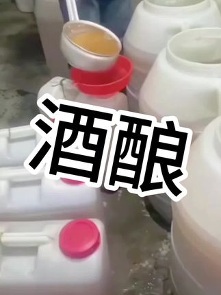 酒酿发酵#好物推荐🔥 @DOU+小助手