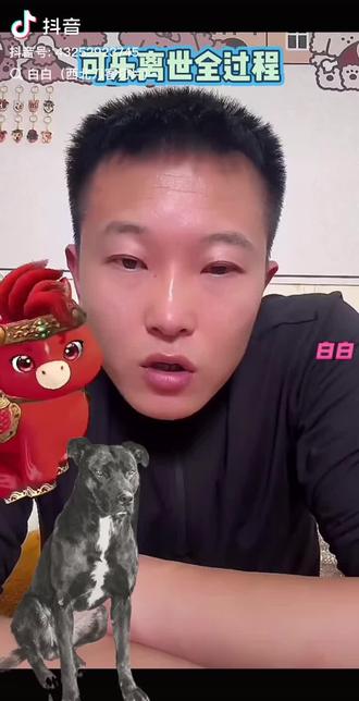 #西北刀客护农 2026年2月5日晚可乐永远离开了我们#西北刀客战队