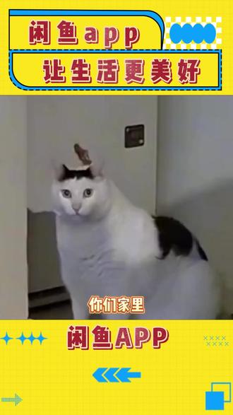 闲鱼APP出收闲置,让生活更美好! #闲鱼APP#省钱攻略来了#闲置