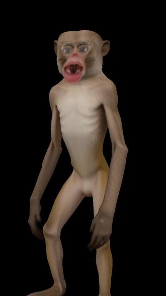 吃蓝莓从瘦猴吃成了胖猴#猴子成精 #蓝莓