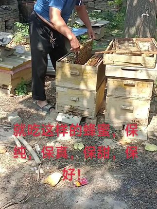 #创作灵感 #大自然的馈赠 自然成熟封口蜜,营养好,品质高。#纯天然无添加
