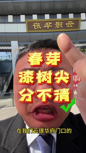 昨天在我们云璟华府对面的农贸市场门口卖春芽的那个嬢嬢,你那个不是春芽儿,你那个是漆树尖尖。#一般人不告诉他 #春芽 #恩施李富贵儿