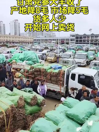 #党参段#甘肃党参#鲜党参#优质农产品