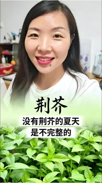 在广东想吃到正宗荆芥太难了!误把九层塔当荆芥,味道完全不对只能自己买种子阳台种。有没有成功的老乡,评论区交流下!#河南美食#荆芥#家乡味道 #阳台种菜