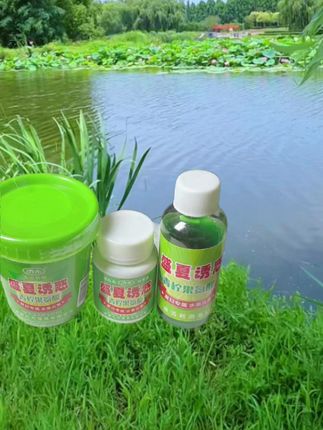 #摇三摇粘粉饵料#钓大板鲫 #摇三摇空钩粘粉钓大板鲫