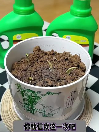 想要家里花草长的好,营养液少不了!这款植物浓缩营养液是通用型的,一瓶可用三个月!#植物营养液#养花小知识 #分享养花经验#绿植营养液 #绿植花卉
