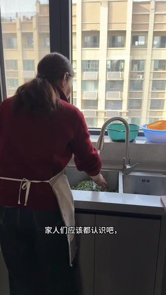 蒿子粑粑纯手工制作#蒿子粑粑 #家乡特色 #民间传统美食 #有没有见过这种吃法 #美食冷知识大揭秘