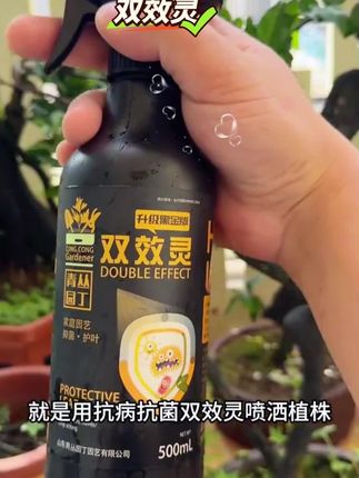 #黑金双效灵 强势登场,作为“病害克星”,直喷超方便,药味全无,一键灭掉真菌病害 #病害防治有妙招 #万能杀菌剂推荐 #病害防治