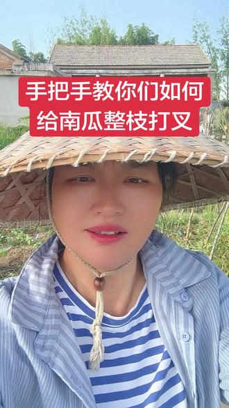 手把手教你们如何
给南瓜整枝打叉#南瓜种植 #南瓜种植技术 #关注我一起学种菜
