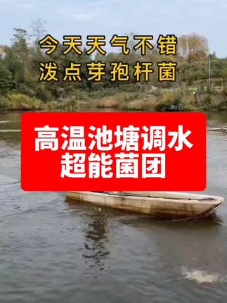高温调水补菌就用超能菌团!