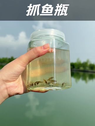 几块钱都让孩子快乐好几天,没想到抓鱼能这么简单,绳子饵料都是配好的,成就感满满,真的太有意思了#户外亲子时光#抓鱼小能手