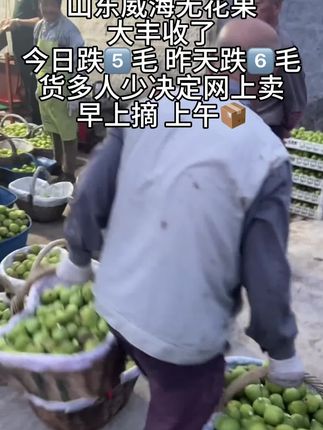 一包蜜的无花果你吃过吗?嘎嘎好吃嘎嘎甜 流蜜蜜甜#优质农产品 #新鲜采摘新鲜发货 #应季水果 #快来一起尝个鲜