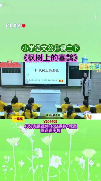 语文二下《枫树上的喜鹊》 Y204409(40上课视频+PPT课件+教案)赠逐字稿小学语文老师必看的精品示范课✨完整课堂实录+教学环节设计,朗读、识字、阅读理解一站式教学,课堂氛围感拉满,教学效果超棒,备课、参赛直接参考,省心又好用#小学语文 #课堂实录 #新课标 #公开课 #新课标优质课