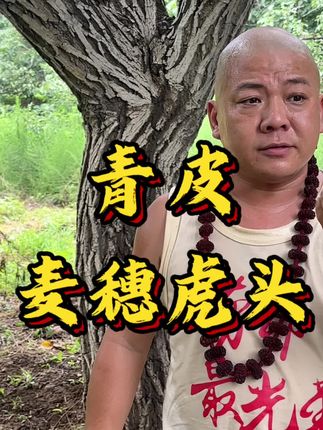 麦穗虎头青皮#文玩核桃 #麦穗虎头 #文玩爱好者 #青皮核桃